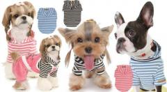 Пошив одежды для собак